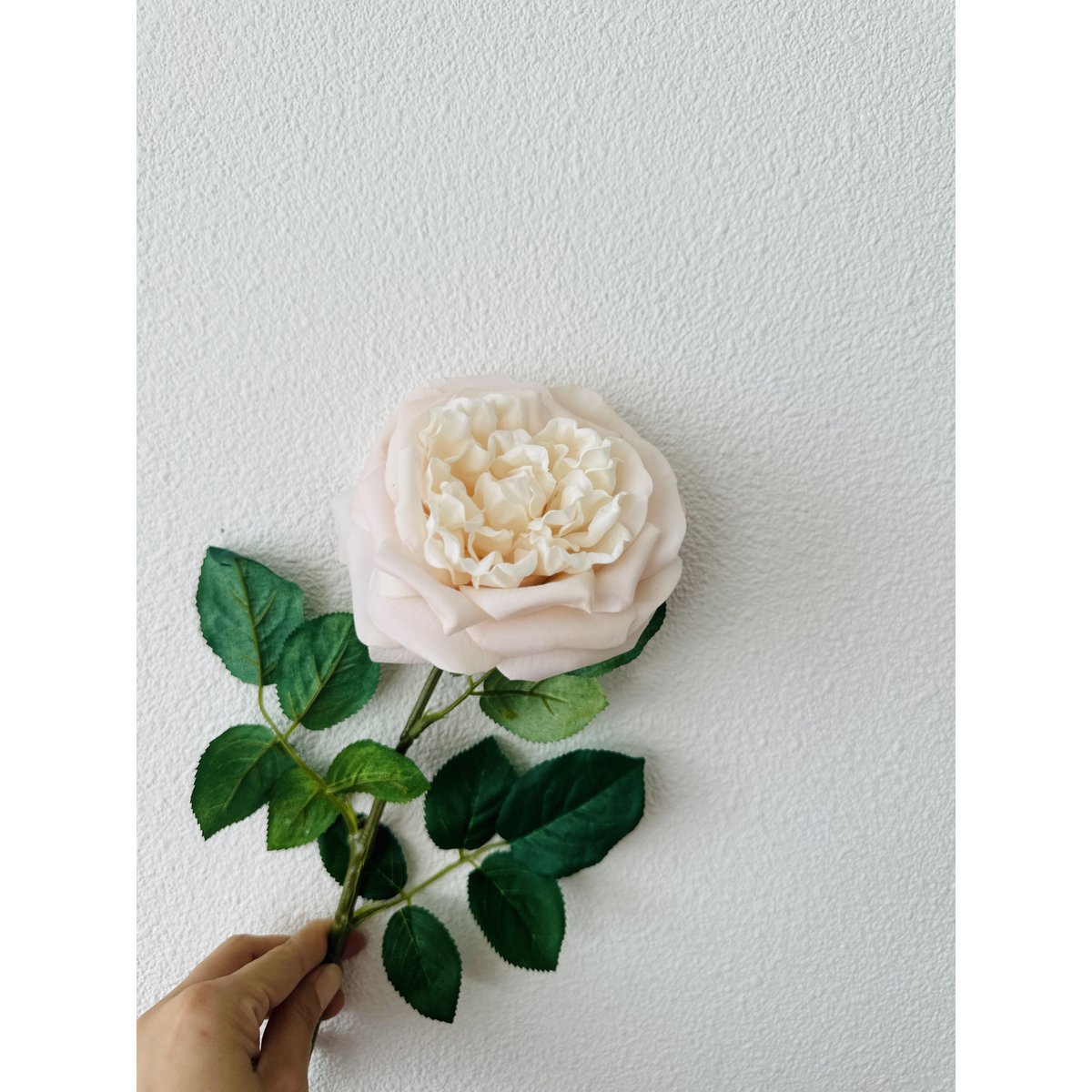 QMF Touch Rose 65cm Light pink 2PCS