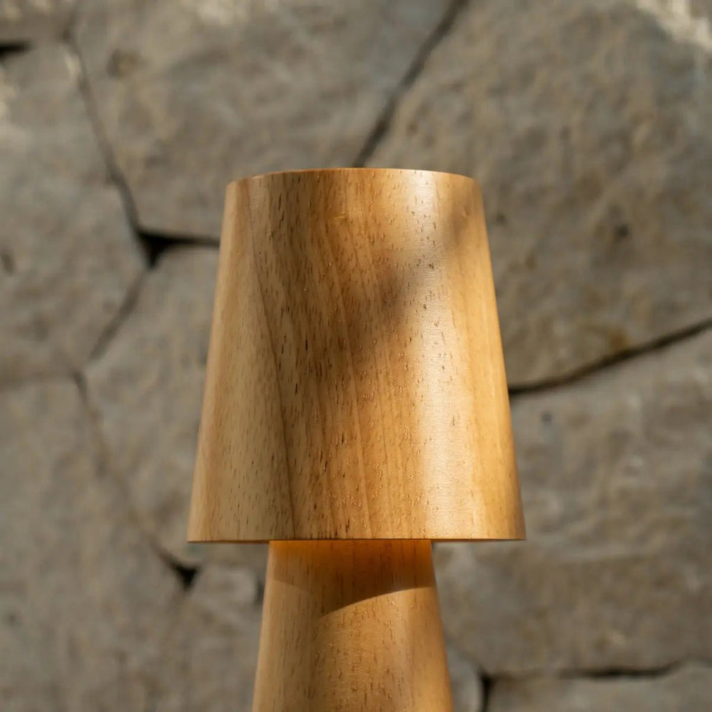 Lucas oplaadbare tafellamp – draadloos, dimbaar en opladen via USB-C