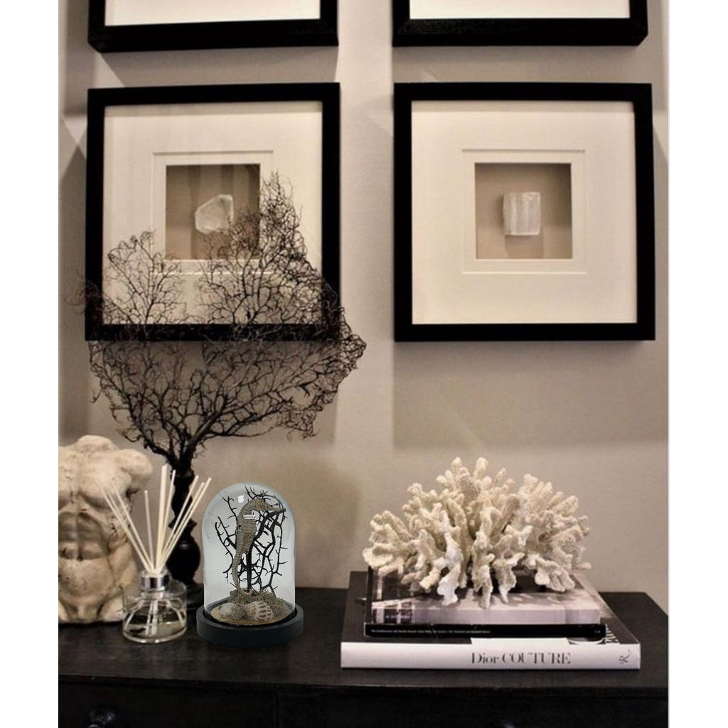 Zeepaardje Stolp(YF-05)