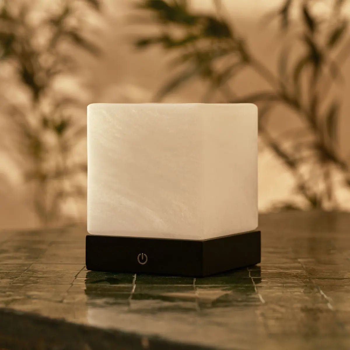 YCE Black Draadloze houten lamp met bevroren glas-oplaadbare, dimbare, 100-uur batterij