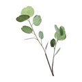 Decoratieve bloem van lichtgroene eucalyptus H65cm