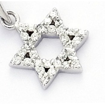 Black Ball Pen met diamant maguen