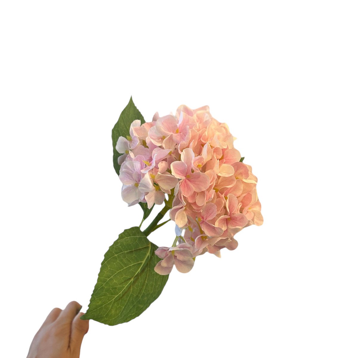 Kortstengelige frisse hortensia | Zijden kunstbloem | Lengte 47cm  1pcs