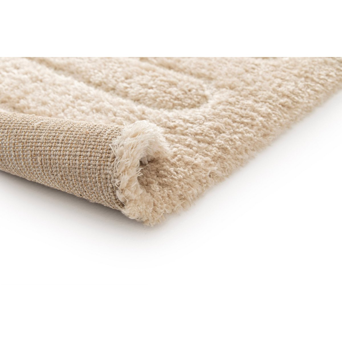 Gerecycled polyester reliëf tapijt met verfijnd eolya -ontwerp