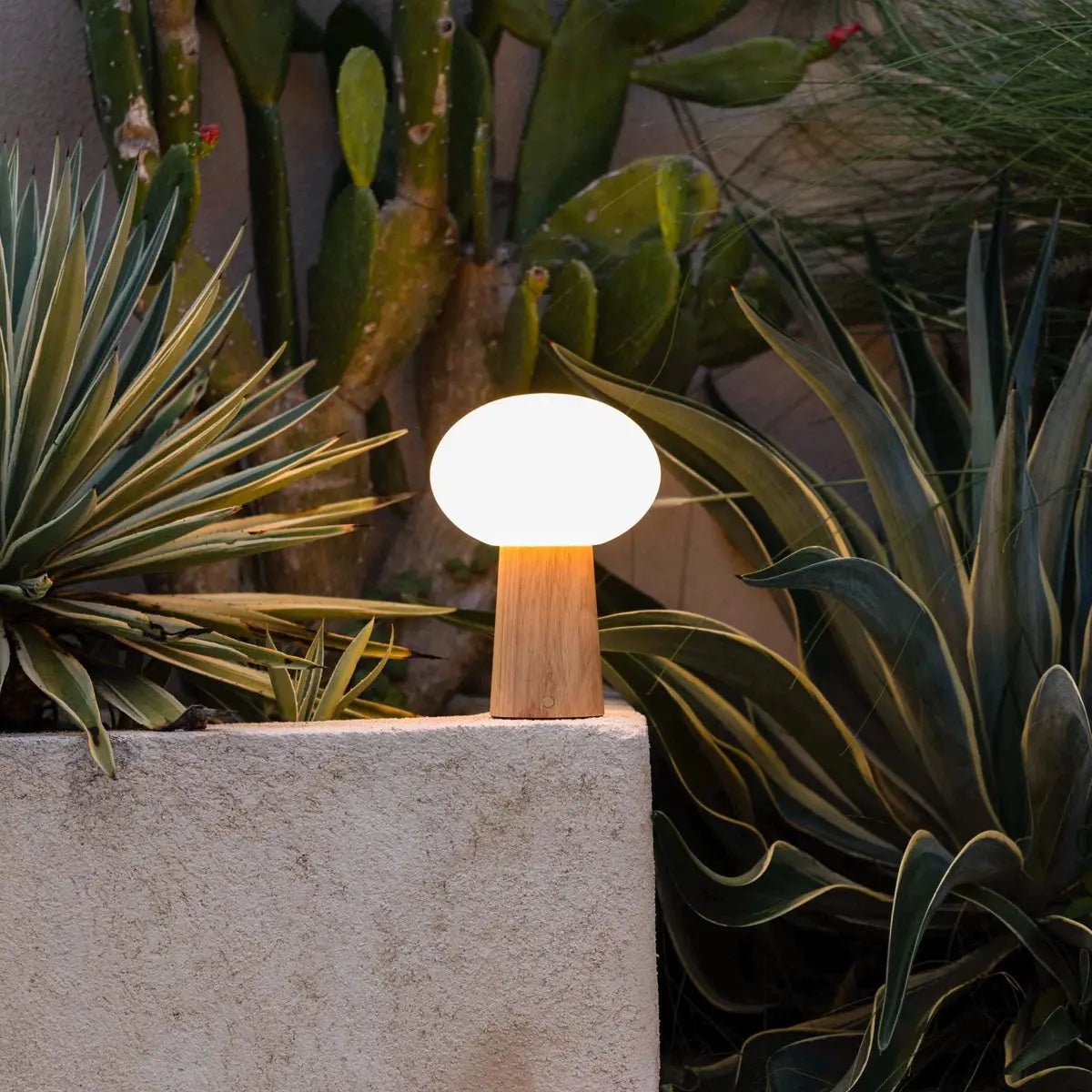 Max lichtbruine houten oplaadbare tafellamp met glas en oplaadbare batterij | Dimbare en veelzijdige verlichting