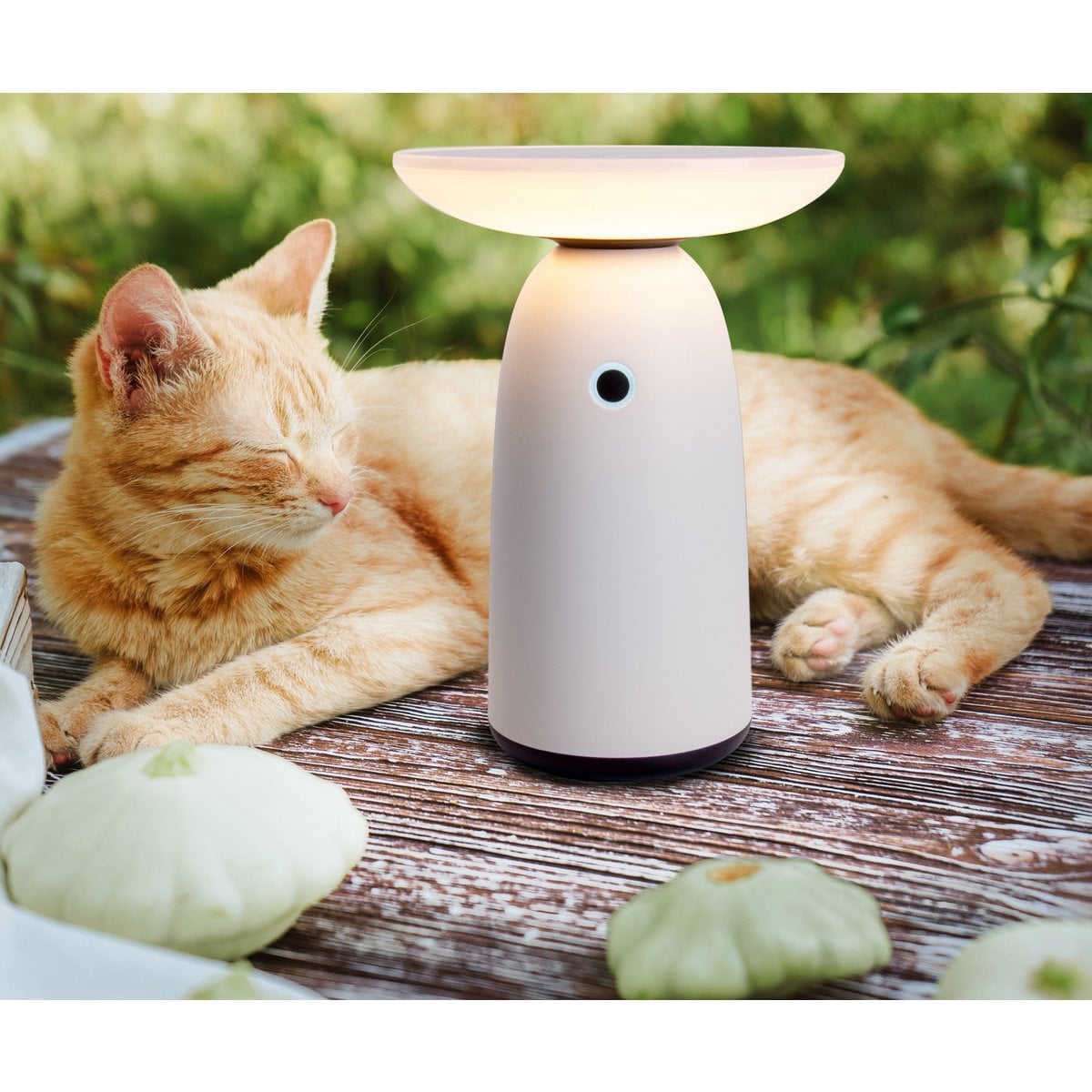 Liv · Buitenlamp