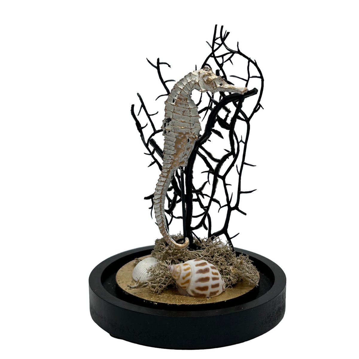 Zeepaardje Stolp(YF-05)