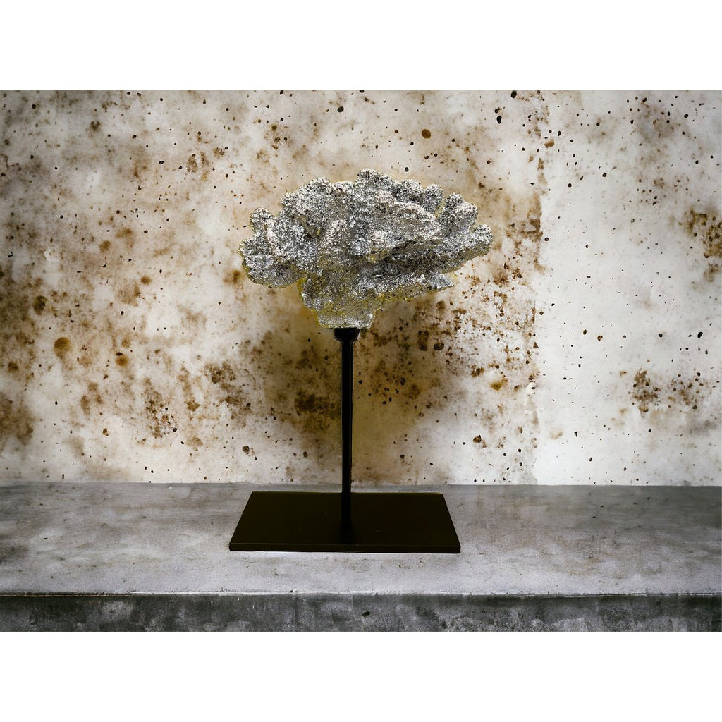 Coral collectie met metalen standaard ( champagnekleur)