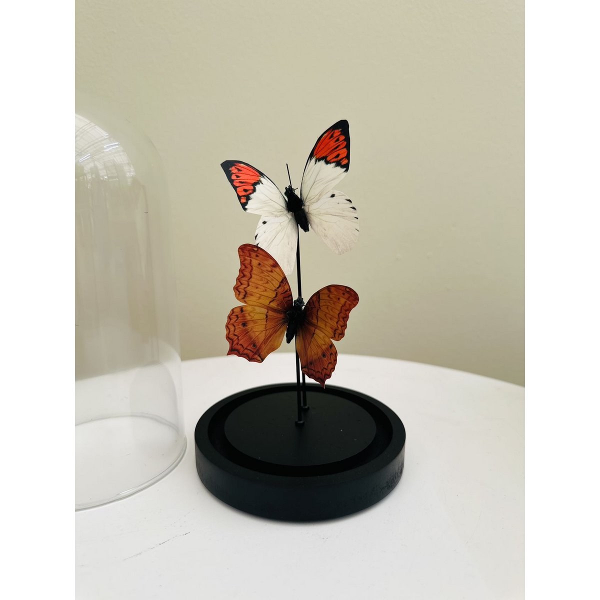 two vlinder 11 * 21cm （YF-08）