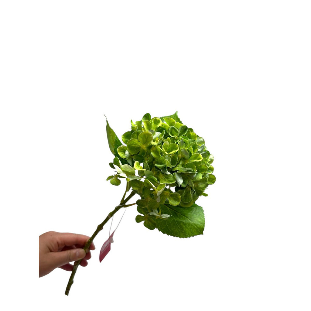 Artificial flowers Hydrangea Macrophylla Green | Zijden kunstbloem | Lengte 50 1pcs
