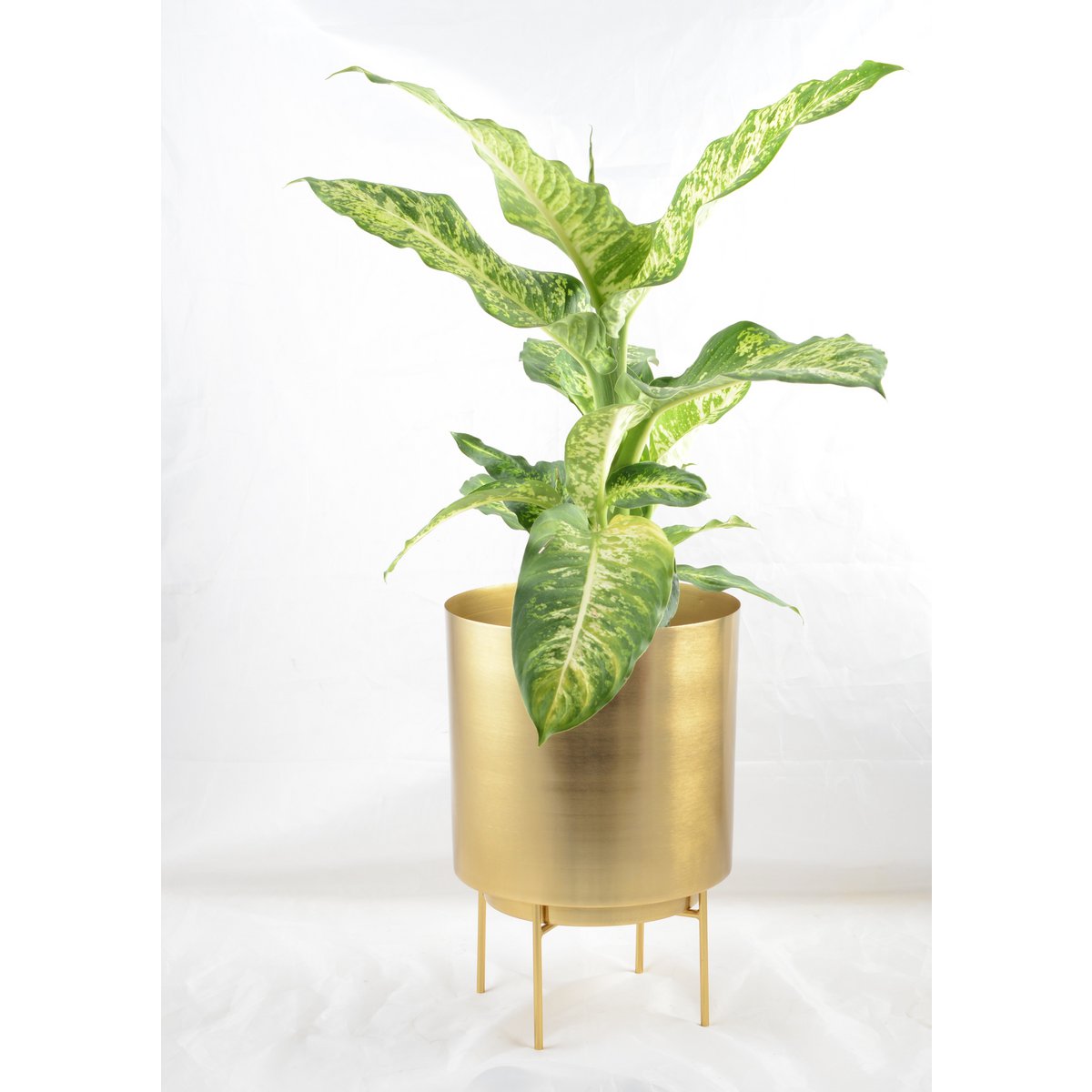 Gouden model gouden pot 25x25x35cm