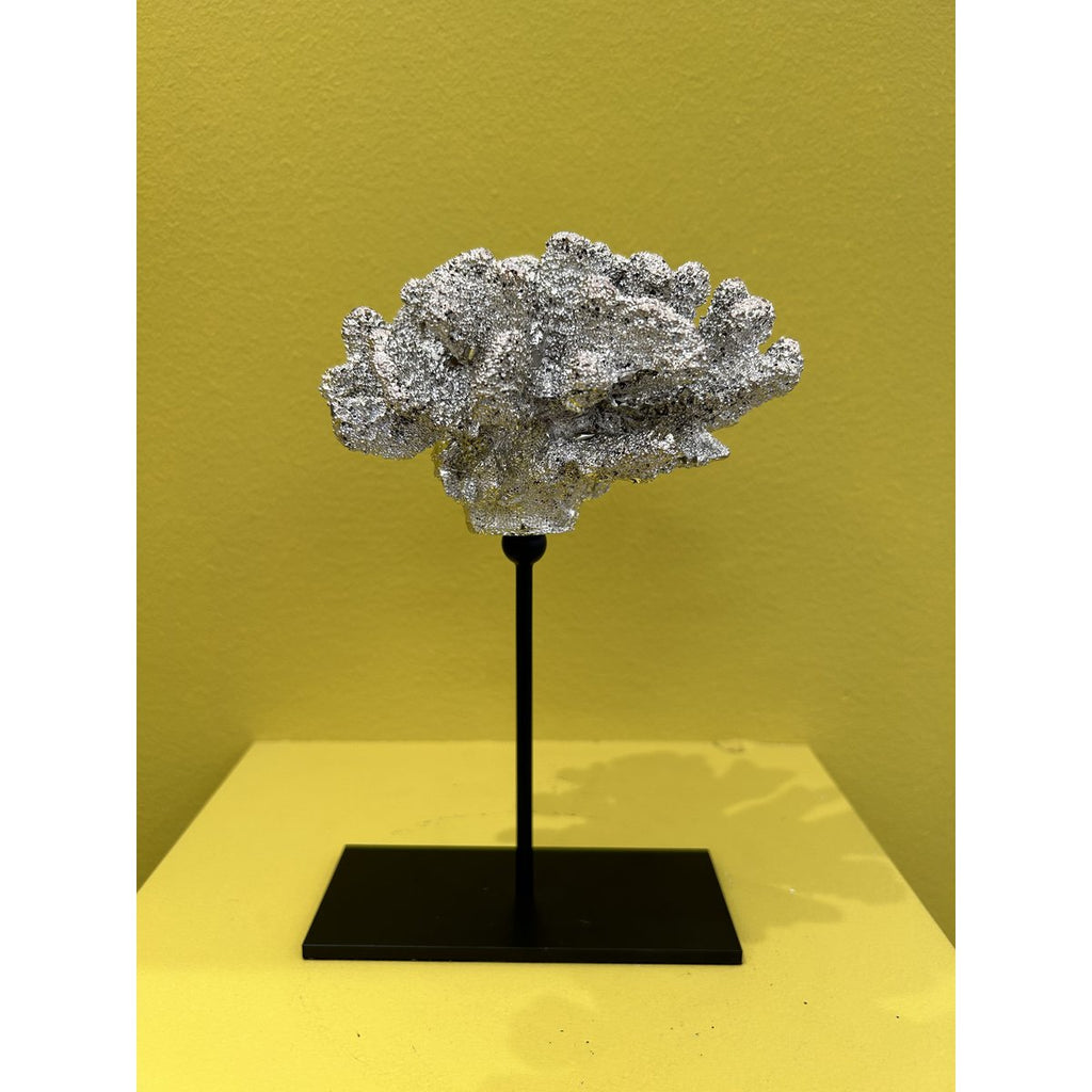 Coral collectie met metalen standaard ( champagnekleur)