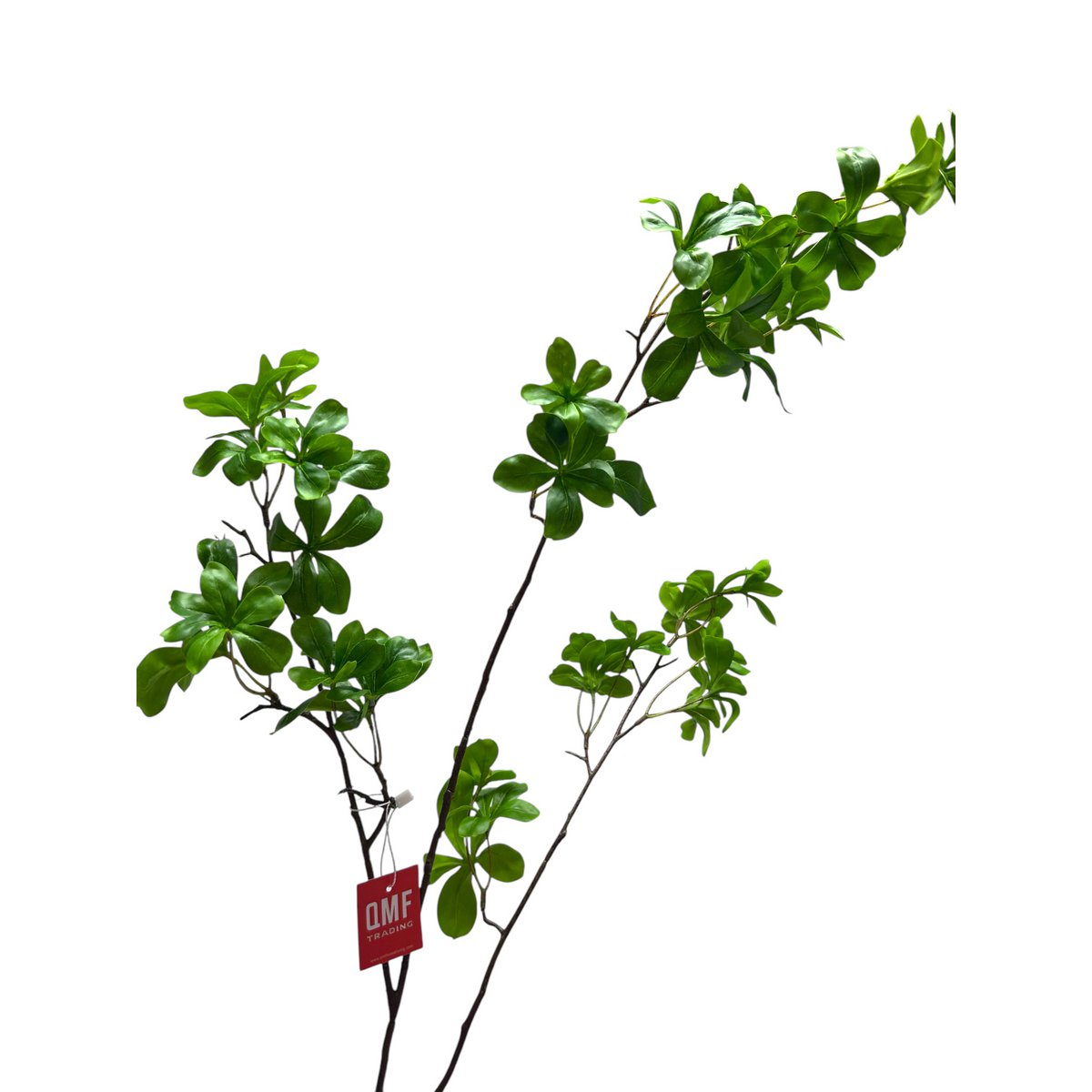 Tropaeolum speciosum Green | Zijden kunstbloem | Lengte 110 1pcs