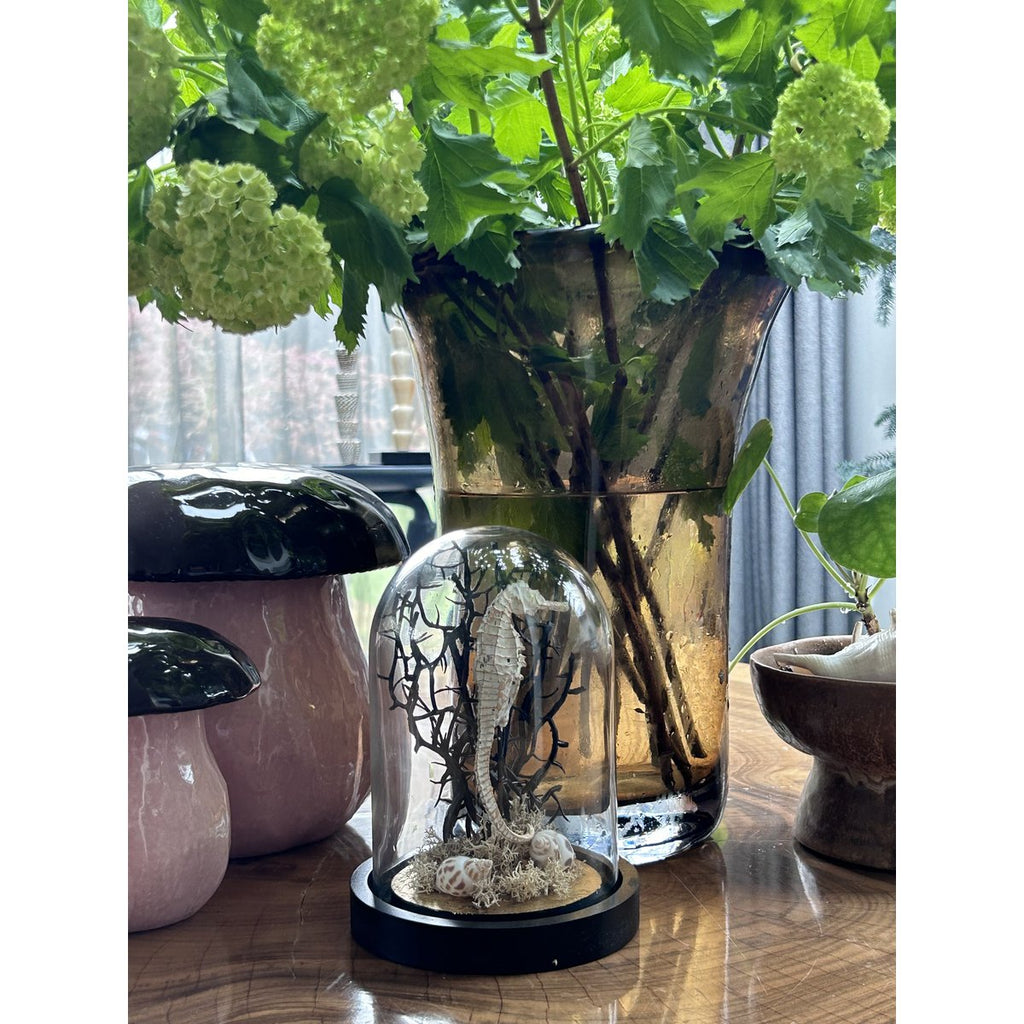 Zeepaardje Stolp(YF-05)