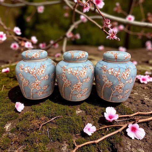 6" Handbeschilderde Ronde blauwe en Pink Porseleinen Pot