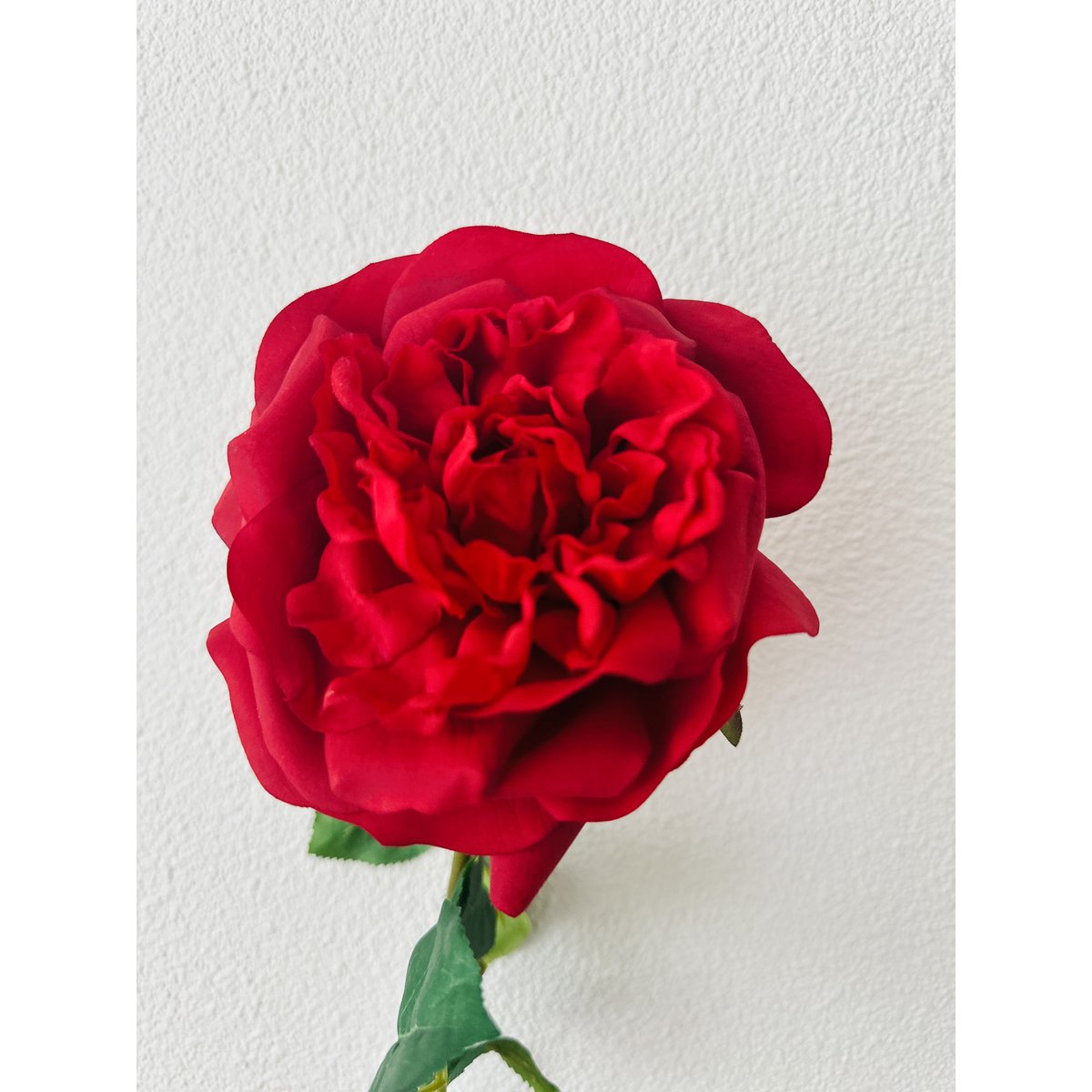 QMF Hand Touch Rose 65cm 1PCS rood