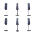 Black Champagne Flutes - Set van 6
