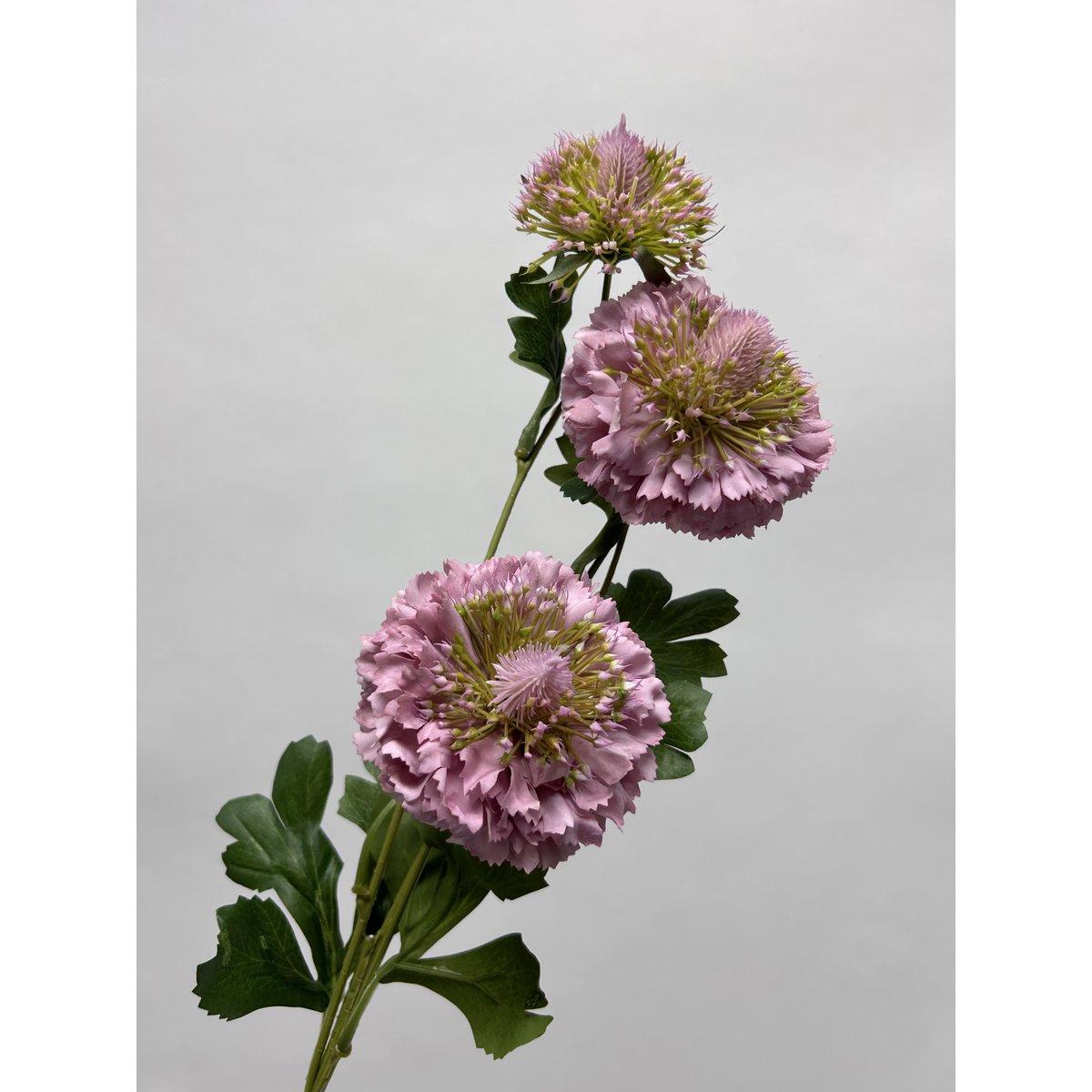 Scabiosa | Zijden kunstbloem | Lengte 80cm  2pcs wit