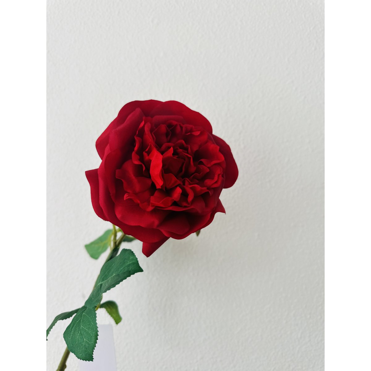 QMF Hand Touch Rose 65cm 1PCS rood