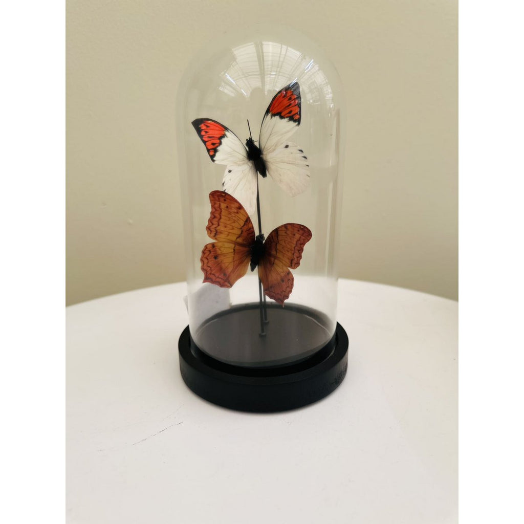 two vlinder 11 * 21cm （YF-08）