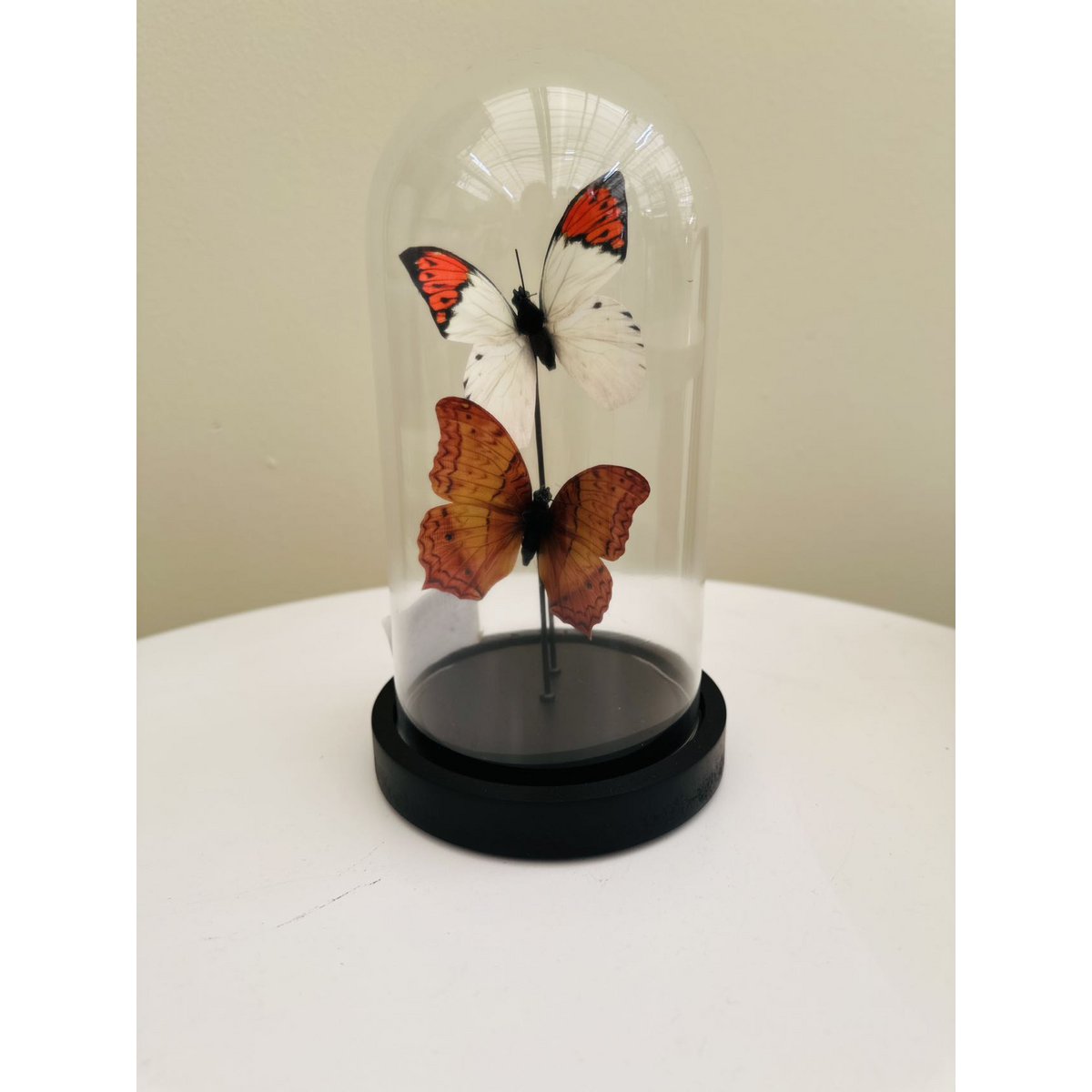 two vlinder 11 * 21cm （YF-08）