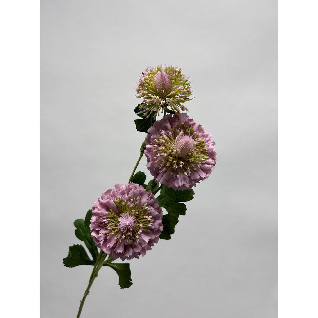 Scabiosa | Zijden kunstbloem | Lengte 80cm  2pcs wit