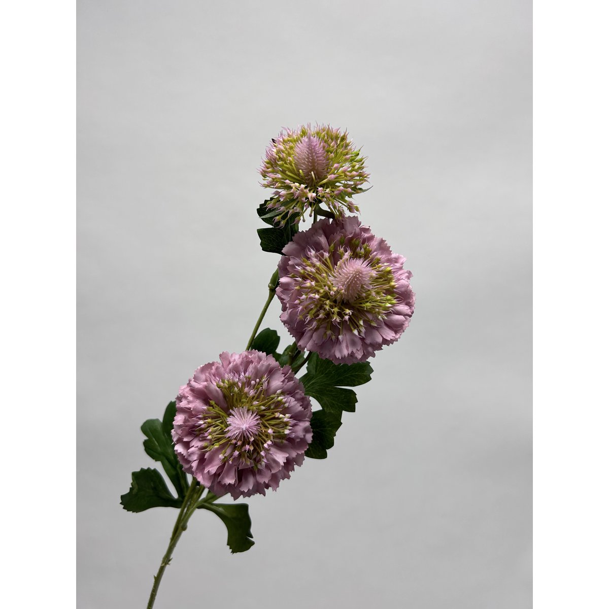 Scabiosa | Zijden kunstbloem | Lengte 80cm  2pcs wit