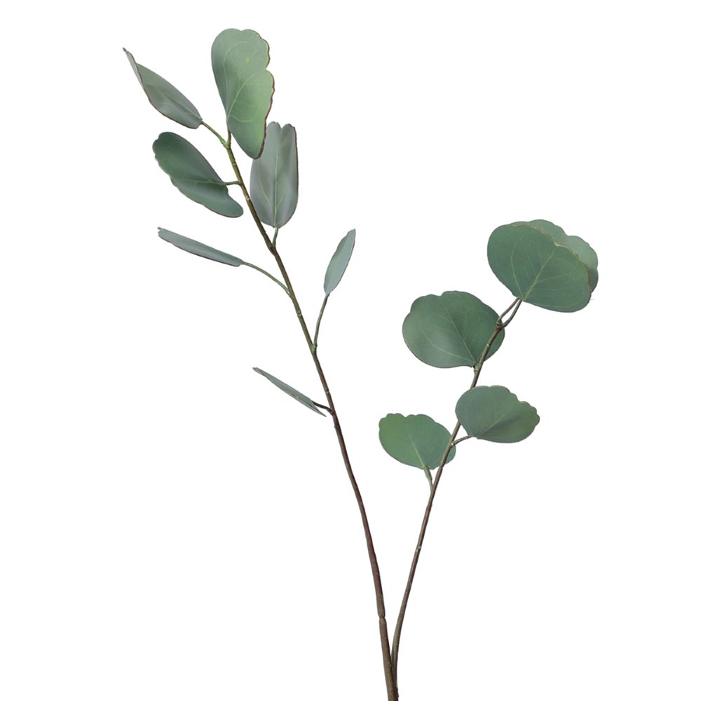 Decoratieve bloem van donkergroene eucalyptus 65x14x1cm