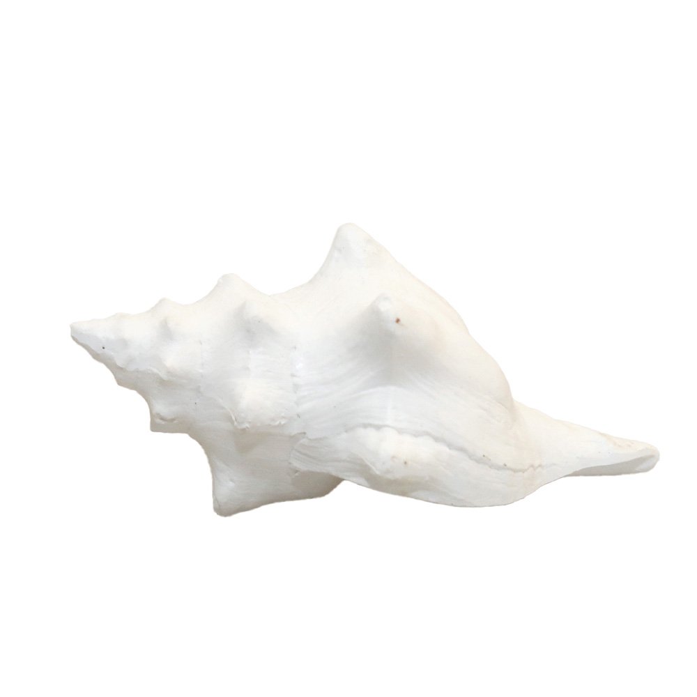 Decoratieve witte schaal 12,5x7x5cm