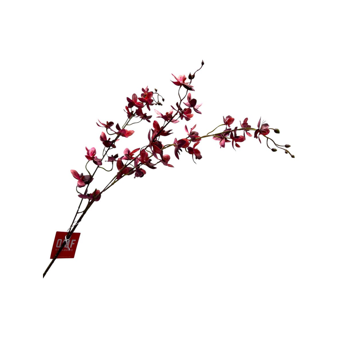 Red Phalaenopsis | Zijden kunstbloem | Lengte 100 1pcs