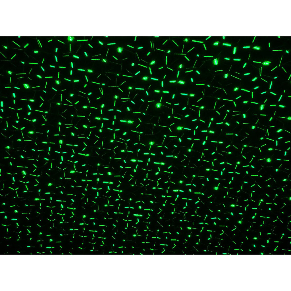 Laser buiten spion met projector, spies gemaakt van plastic, kleurrijk, met geïntegreerde LED, spotlight voor buiten