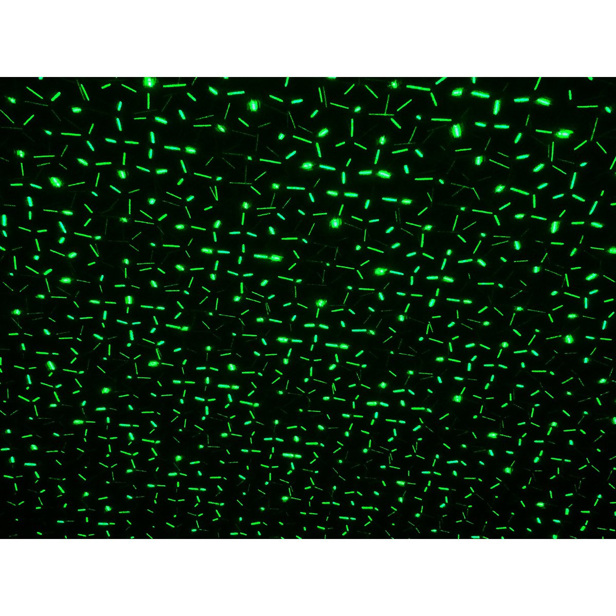 Laser buiten spion met projector, spies gemaakt van plastic, kleurrijk, met geïntegreerde LED, spotlight voor buiten