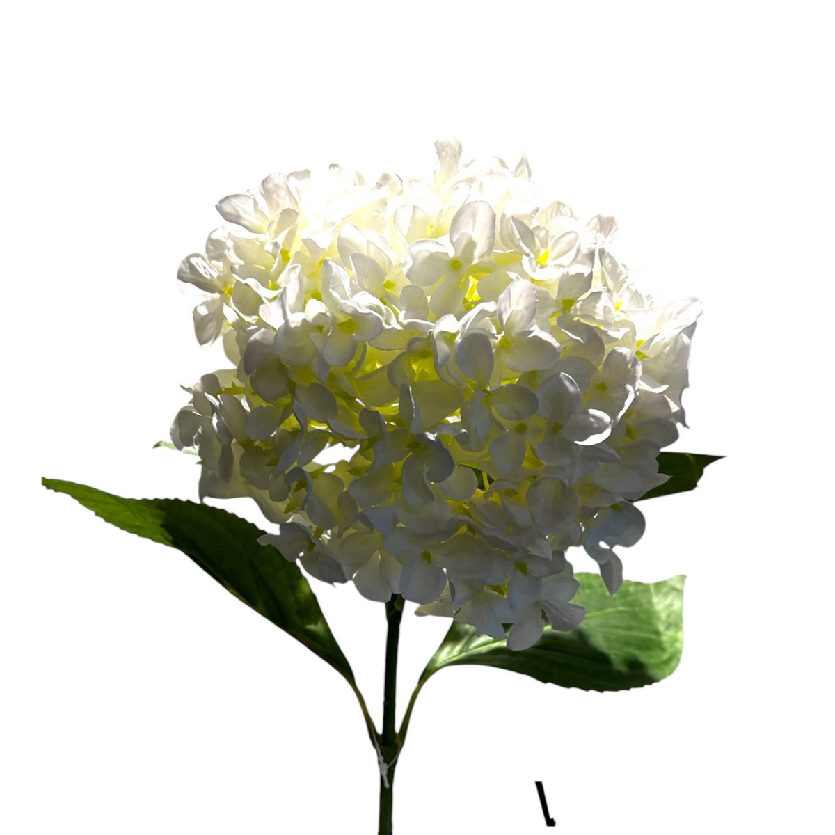 Kortstengelige frisse hortensia | Zijden kunstbloem | Lengte 47cm  1pcs