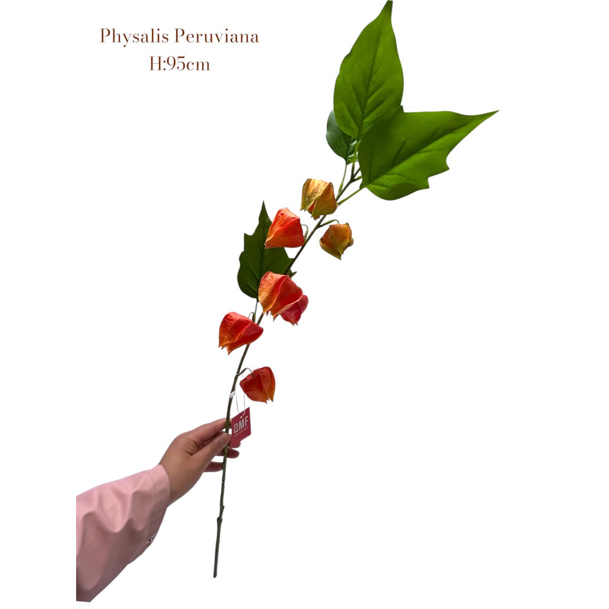 Artificial flowers Orange Physalis Peruviana | Zijden kunstbloem | Lengte 95 1pcs