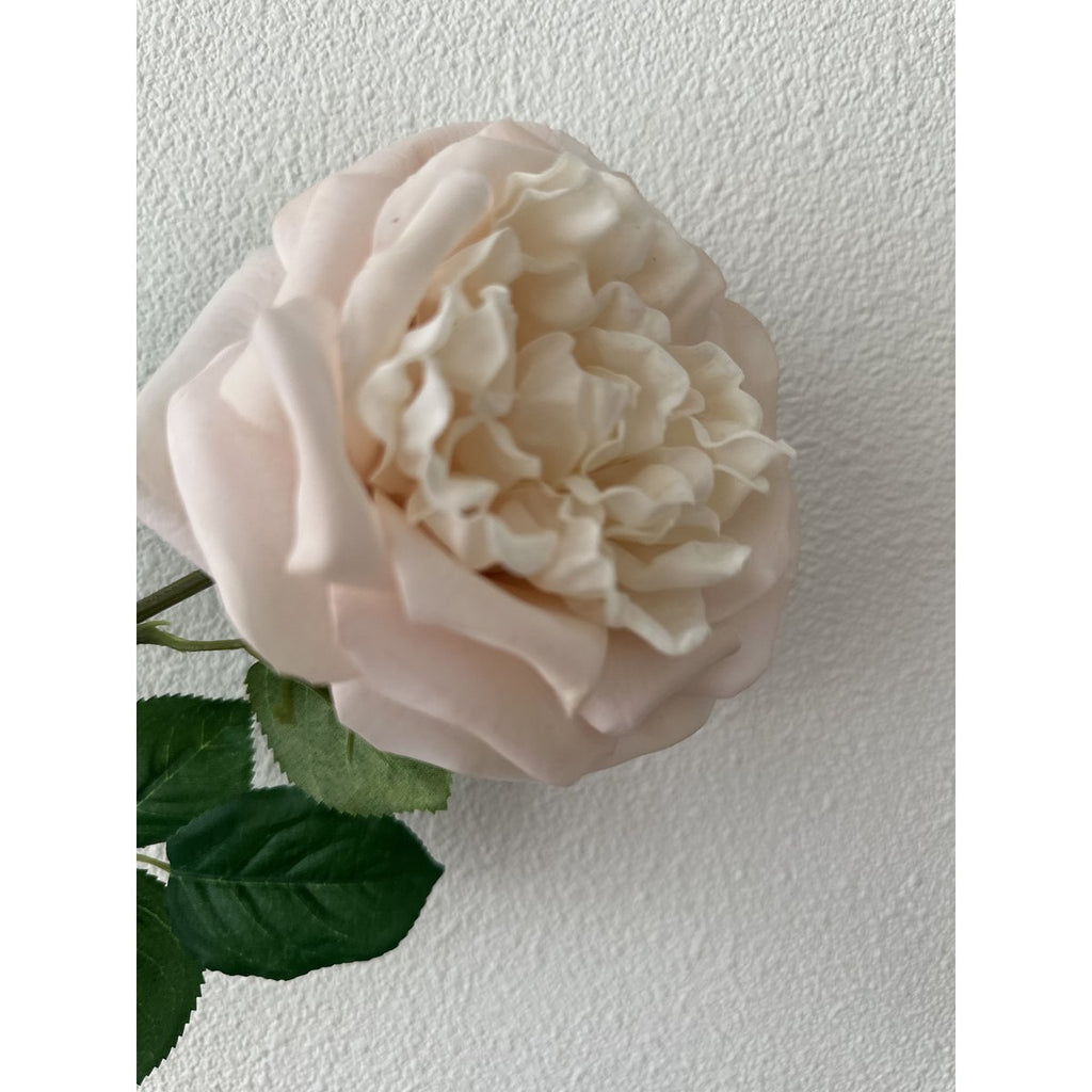 QMF Touch Rose 65cm Light pink 2PCS