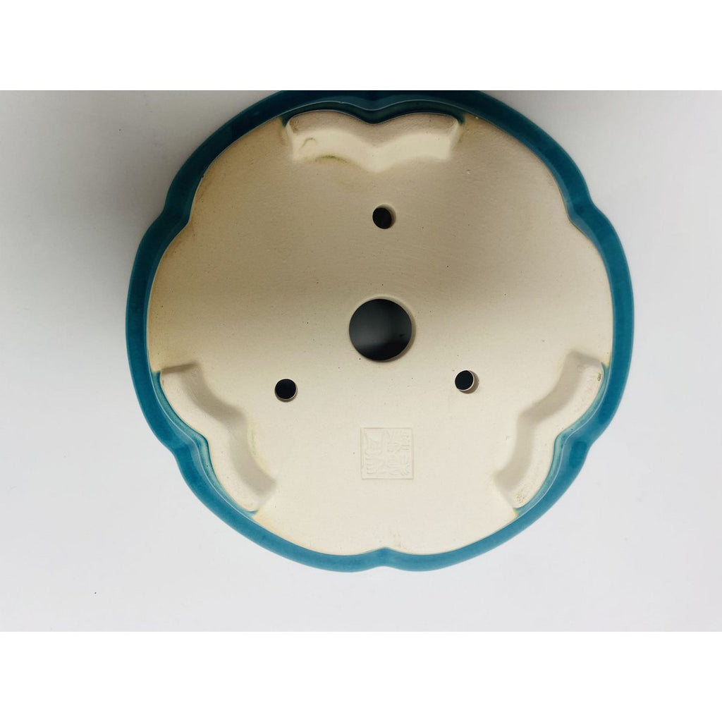 20cm premium geglazuurde bonsaipot met bloemen 20cm premium geglazuurde bonsaipot met bloemen.Afmetingen: L*20cm*20cm*10cm