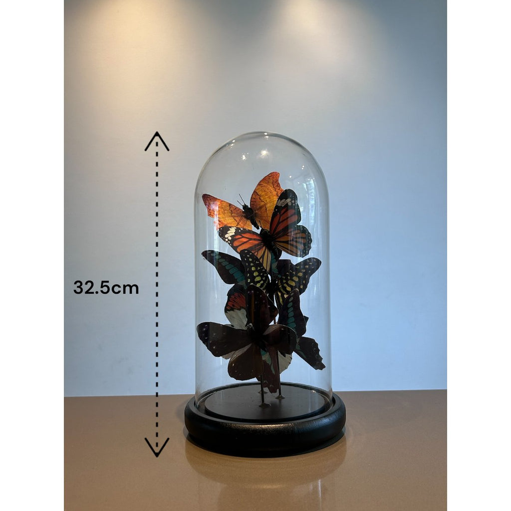 Five vlinder 11 * 32.5cm （YF-09）