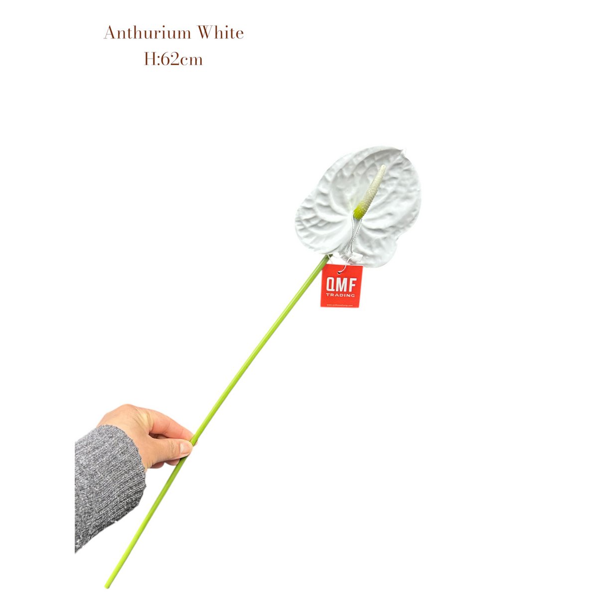 Anthurium White     | Zijden kunstbloem | Lengte 62 1pcs