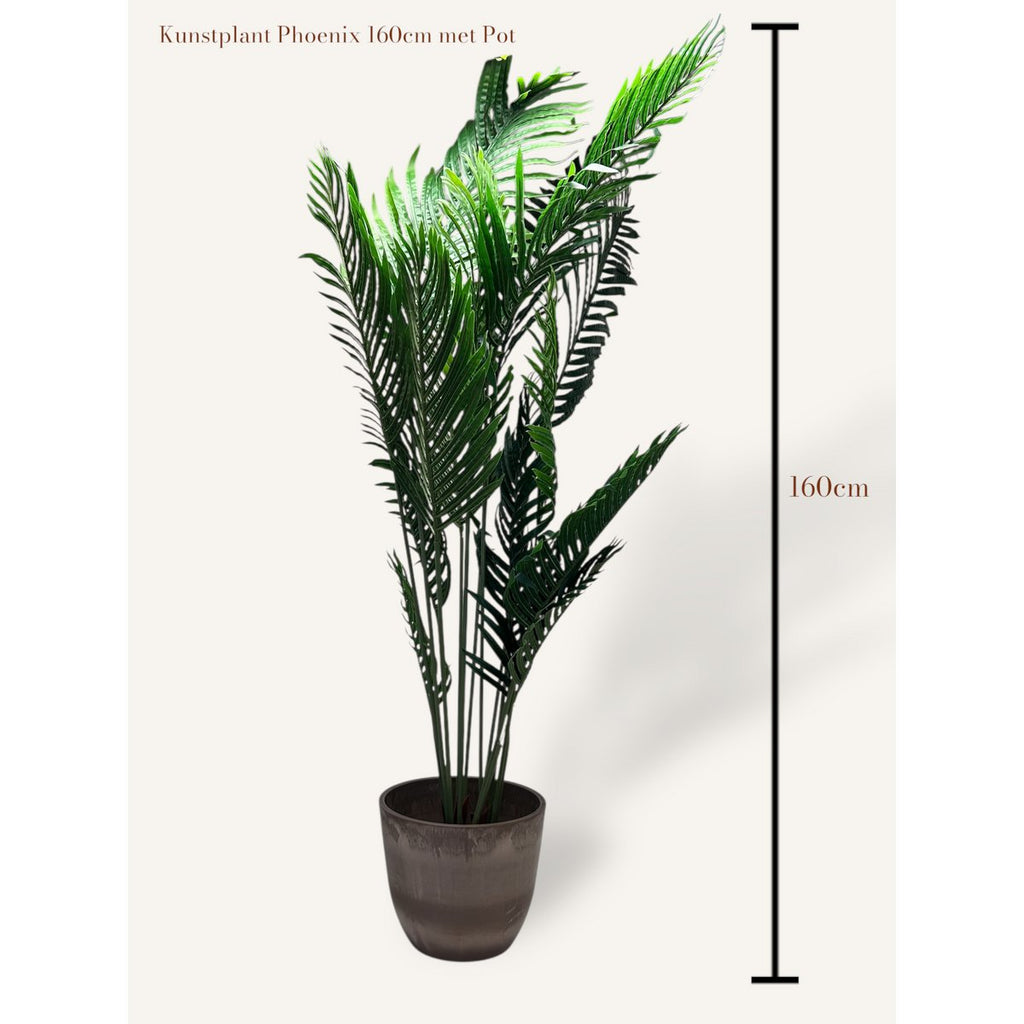 Phoenix Kunstplant met Pot   |  kunstplant | Lengte 160cm 1pcs