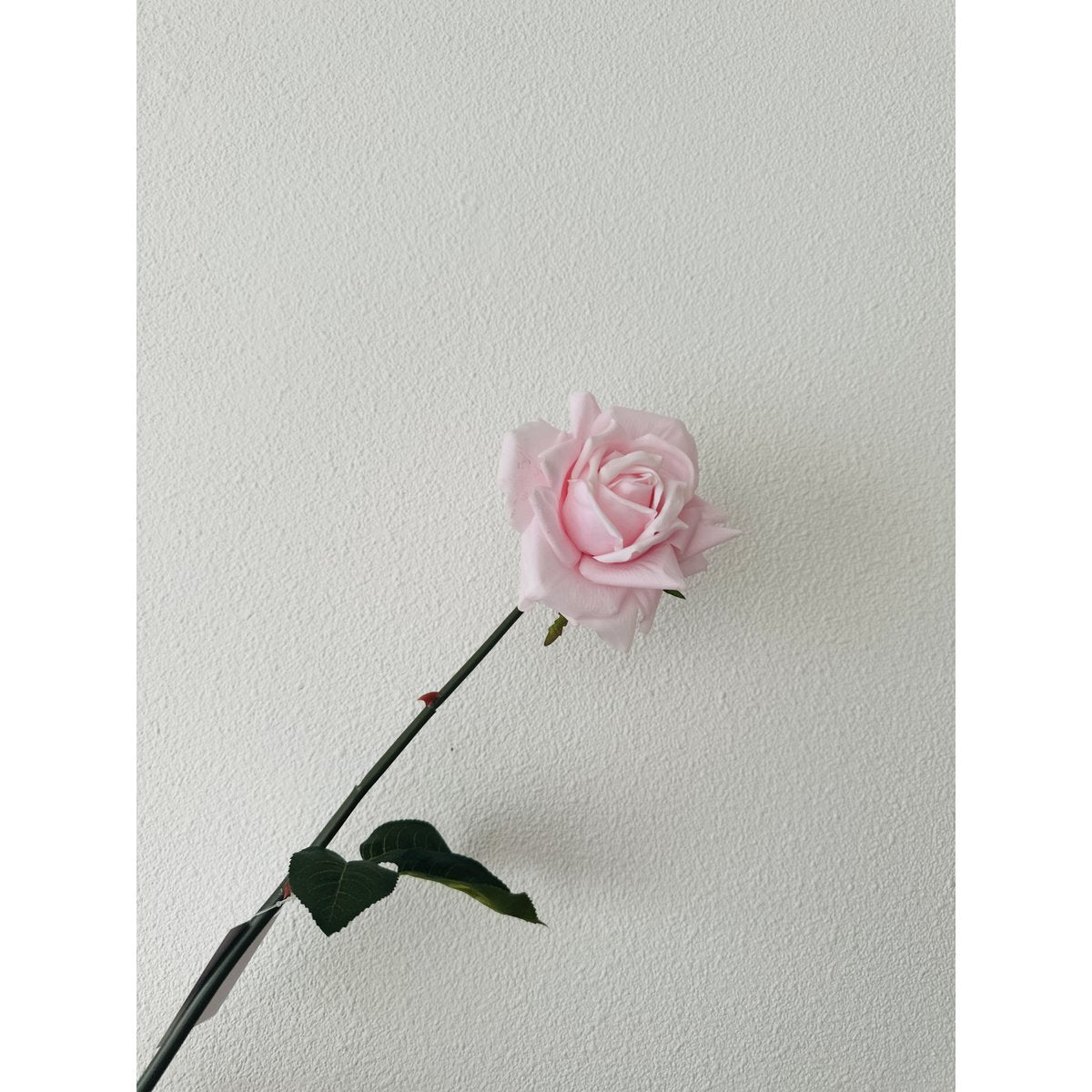 QMF Hand Touch Rose 72cm pink 2PCS