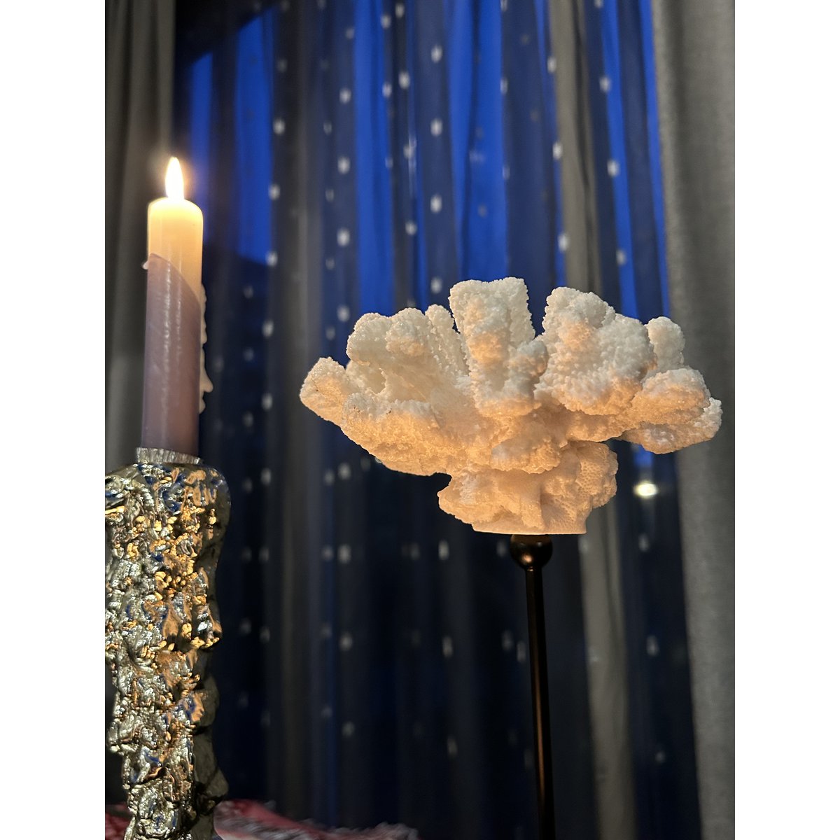 Koraalcollectie met metalen standaard -L-maat: H29cm B15cm D15cm