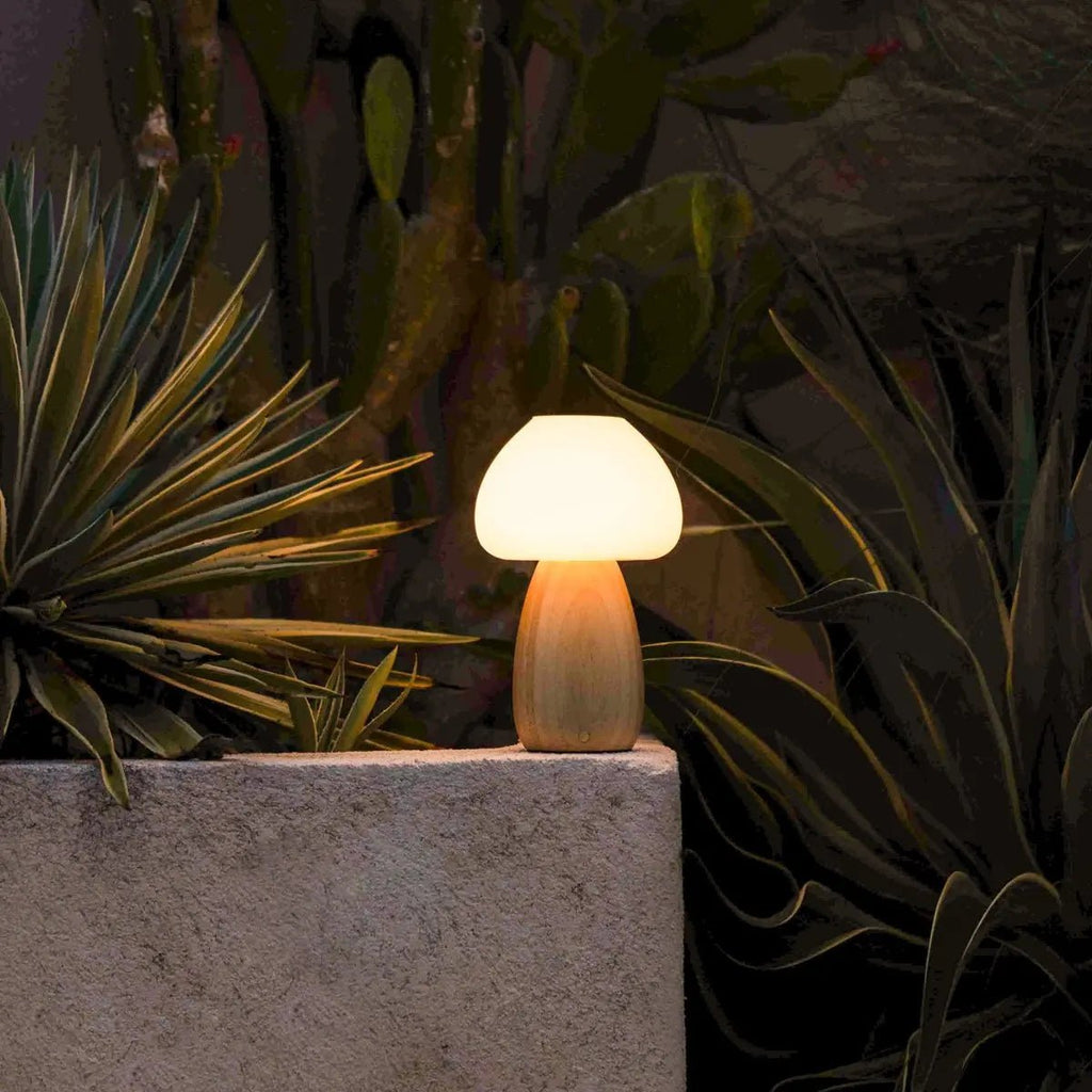 Beer lichtbruin stijlvol oplaadbare lamp-draadloos, dimbaar, milieuvriendelijk ontwerp