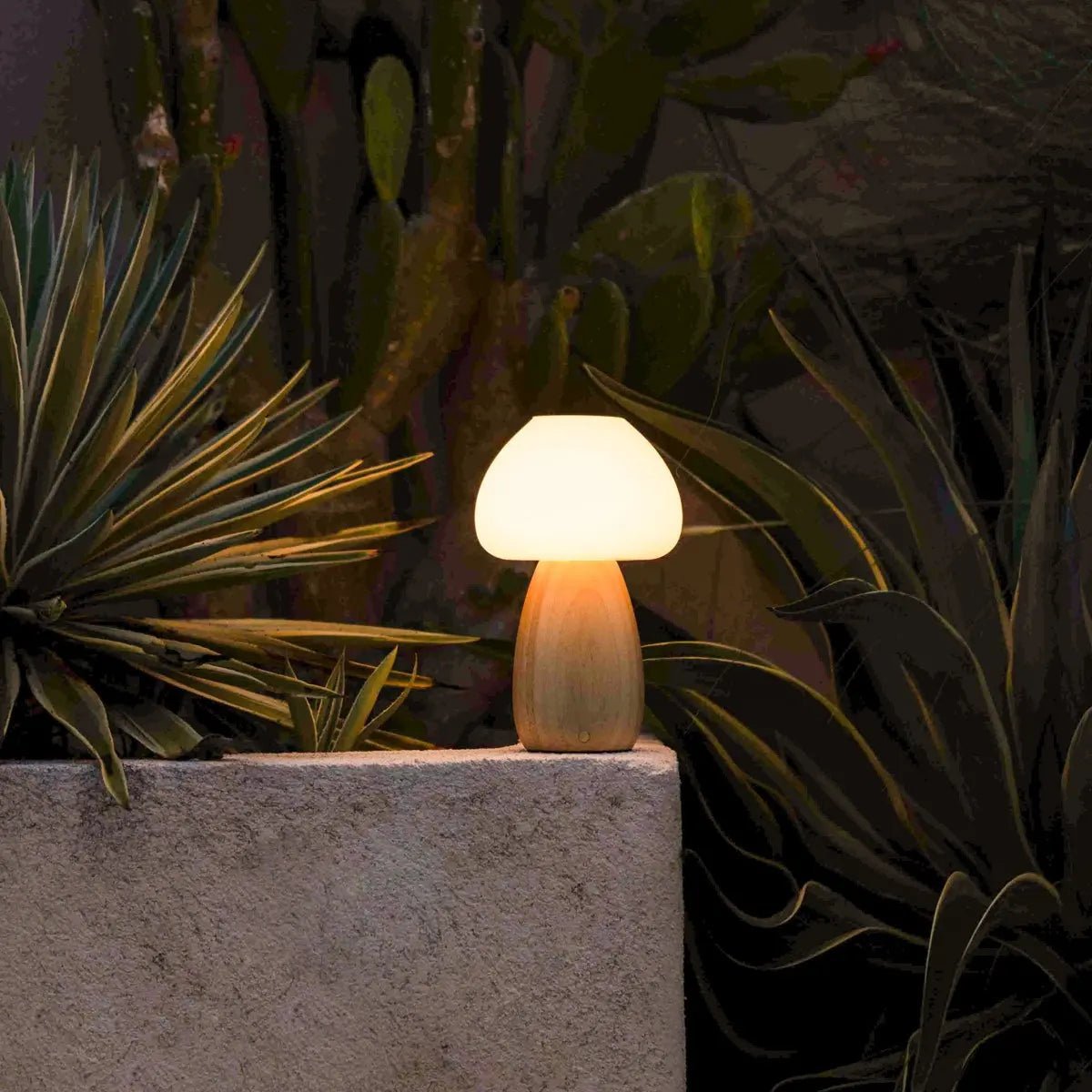 Beer lichtbruin stijlvol oplaadbare lamp-draadloos, dimbaar, milieuvriendelijk ontwerp