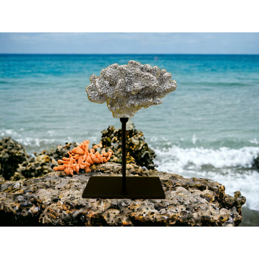 Coral collectie met metalen standaard ( champagnekleur)