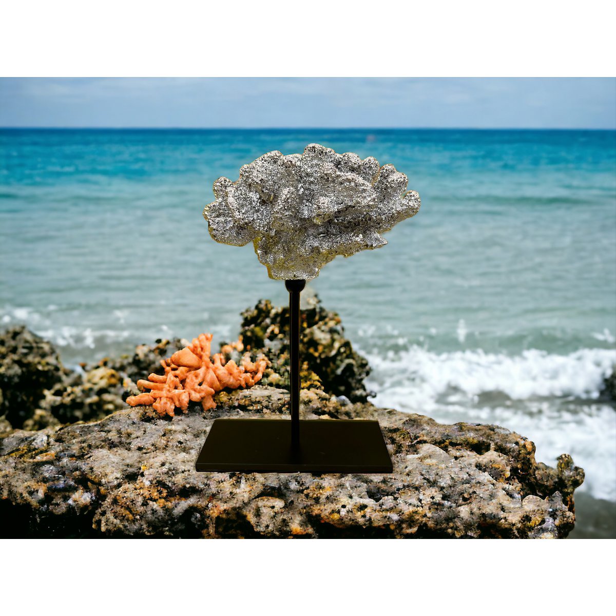 Coral collectie met metalen standaard ( champagnekleur)