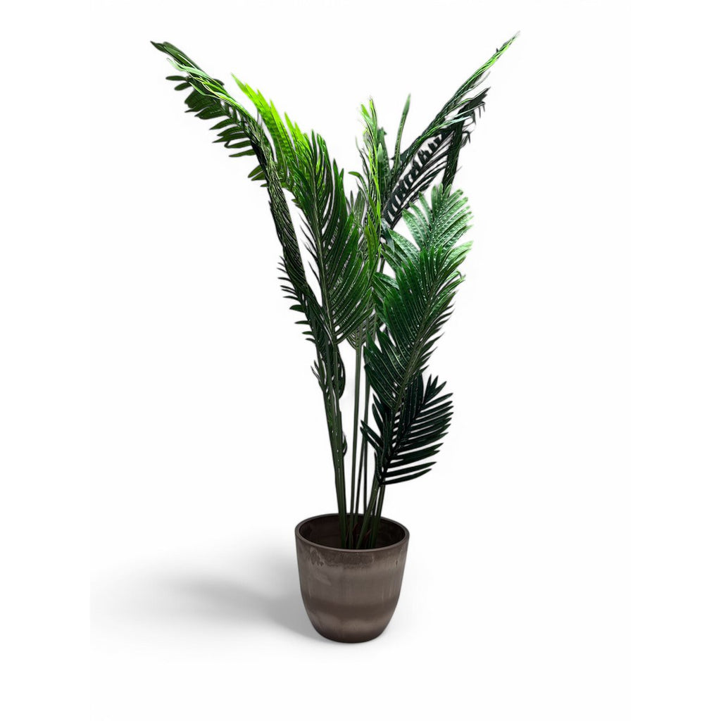 Phoenix Kunstplant met Pot   |  kunstplant | Lengte 160cm 1pcs