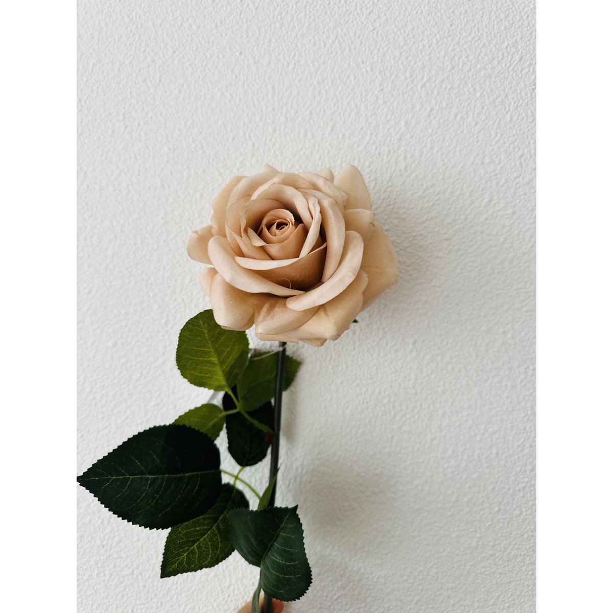 QMF Hand Touch Rose72cm Champagne 2PCS