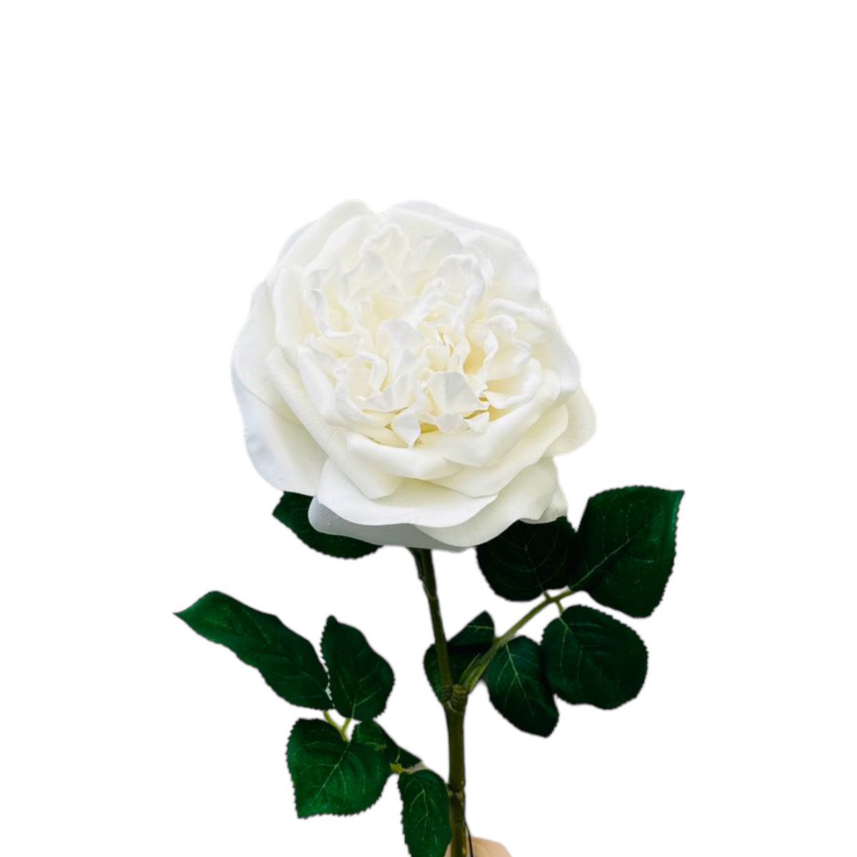 QMF Hand Touch Rose 65cm WIT 2PCS