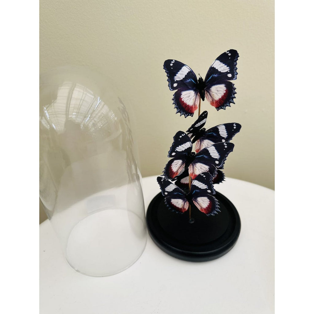 Vlinderdecoratie 14 *26cm （YF-11）