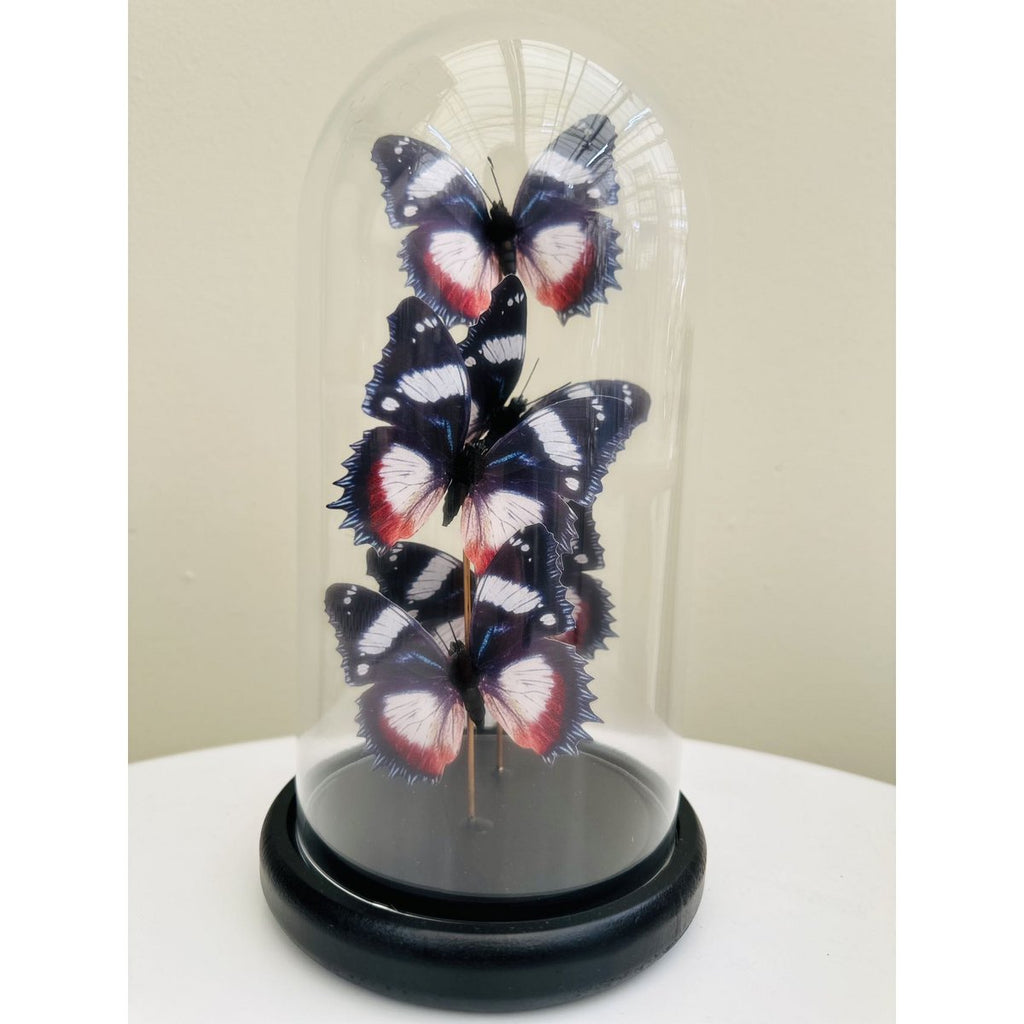 Vlinderdecoratie 14 *26cm （YF-11）